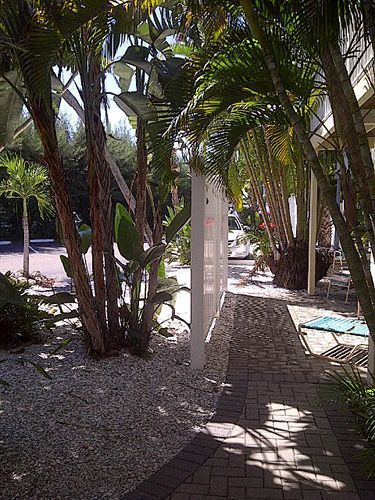 Coquina On The Beach Lido Key  Extérieur photo