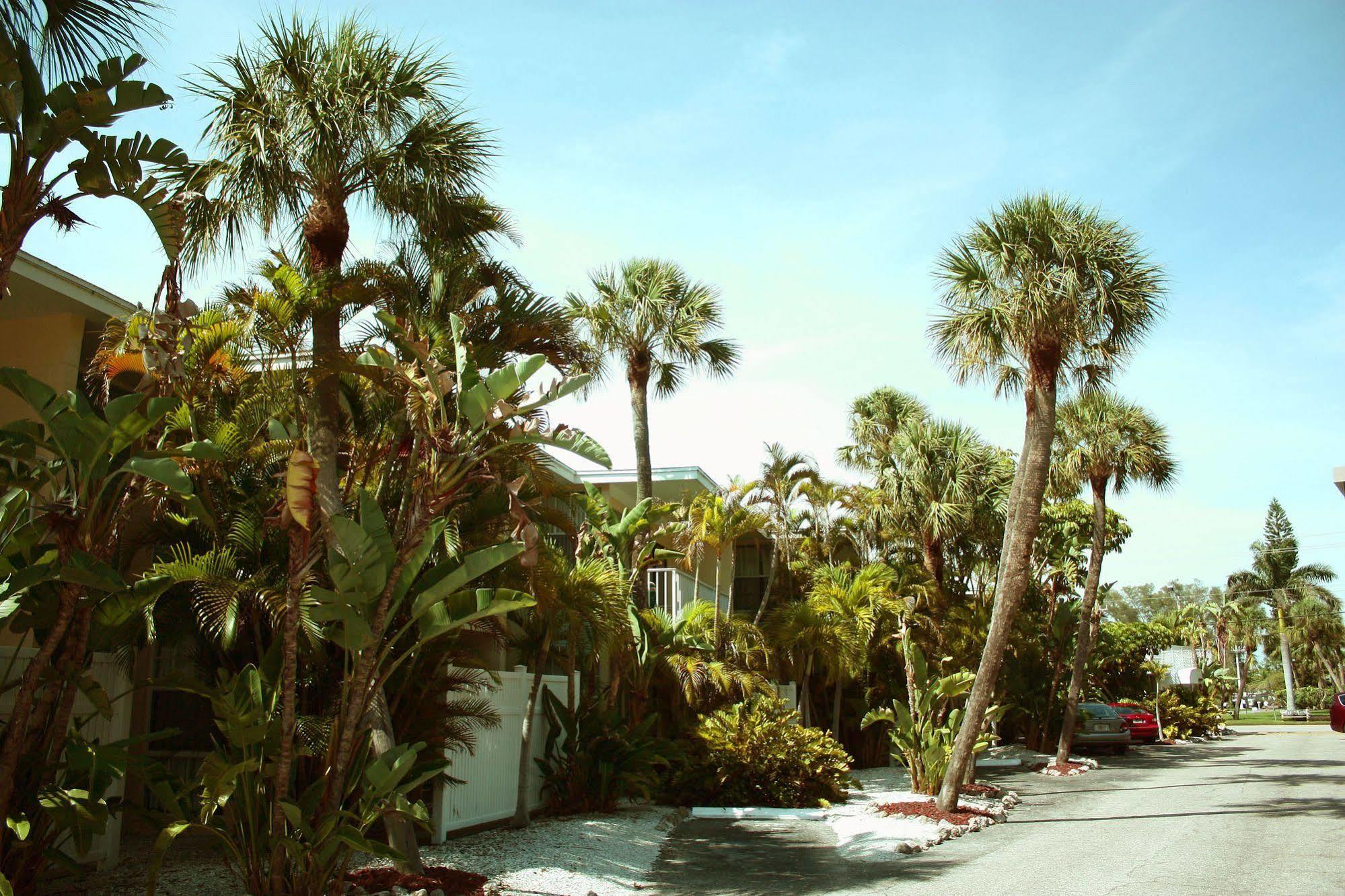 Coquina On The Beach Lido Key  Extérieur photo